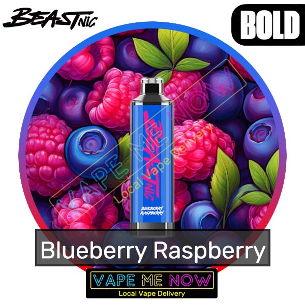 Beast Nic - Blueberry Raspberry