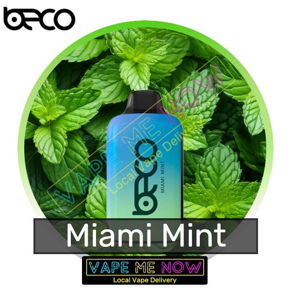 Beco Holo - Miami Mint