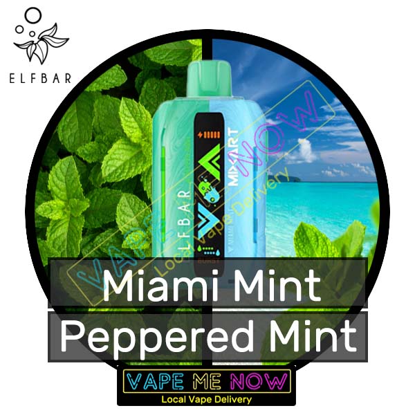 Elf Bar MixArt 40K - Miami Mint | Peppered Mint