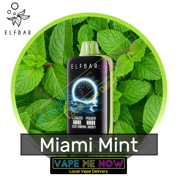 Elf Bar 70K - Miami Mint