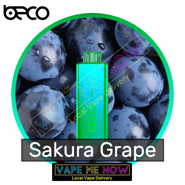 Beco Holo Slim - Sakura Grape