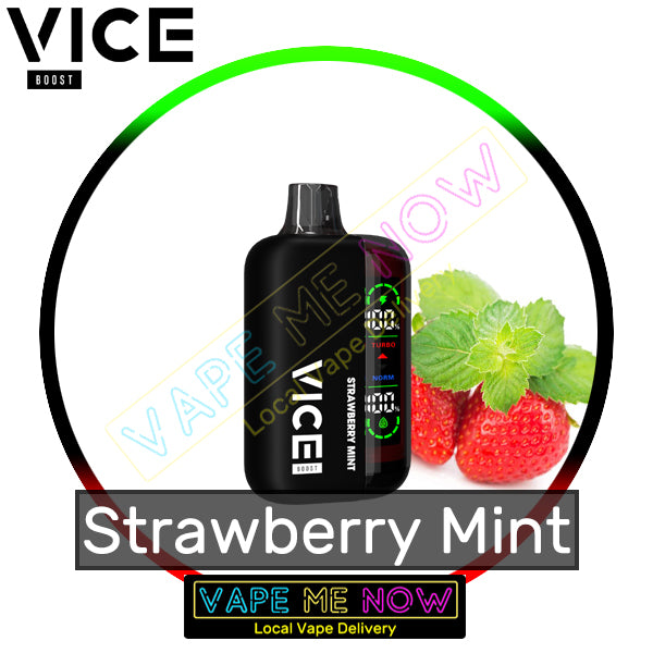 Vice Boost - Strawberry Mint